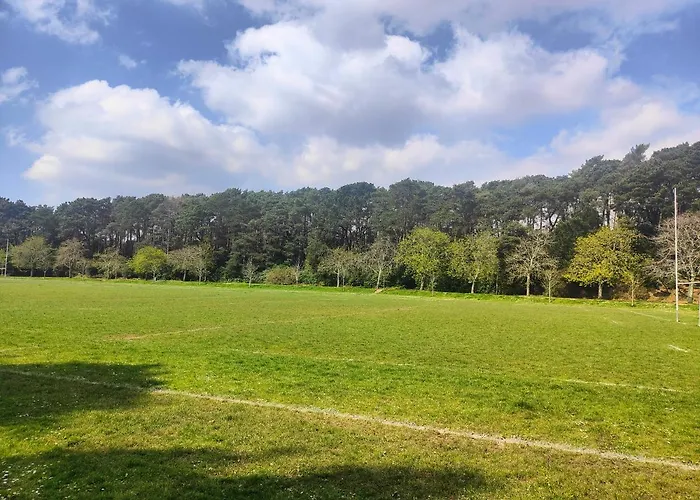 Peaceful Getaway In Forested Park