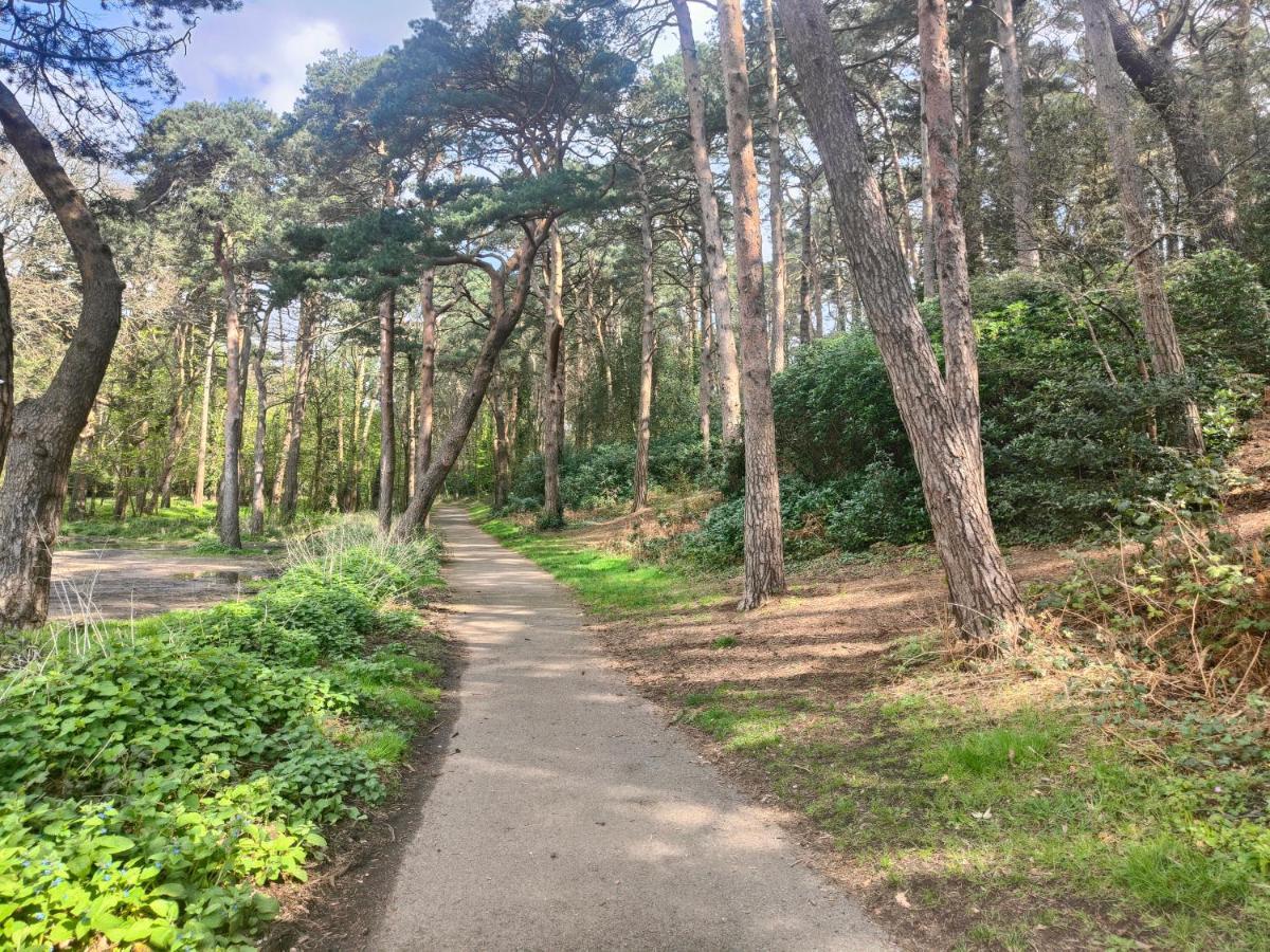 Апартаменты Peaceful Getaway In Forested Park